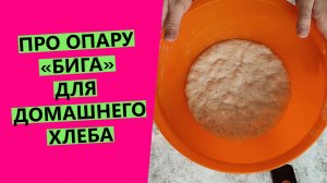 Опара "бига" для домашнего хлеба: как ее сделать, как хранить и как использовать