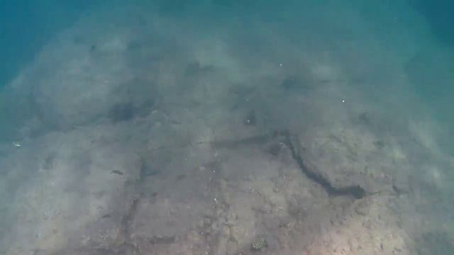 Кормление рыбок в Таиланде смотреть онлайн