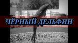 Гио Пика - Фантанчик с чёрным дельфином