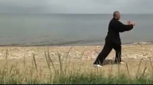 85 форм тайцзи-цюань в стиле Ян ши