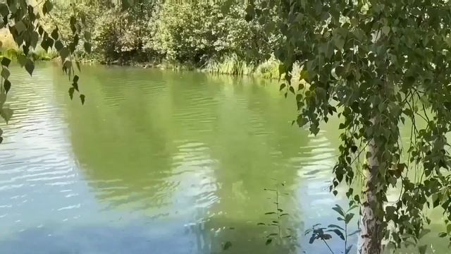МОЮТСЯ СТИРАЛЬНЫМ ПОРОШКОМ. ОЛЮНЯ И КОТЮНЯ.