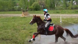 Конный спорт Горно Алтайск Троеборье