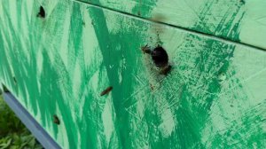 17 июля 2024 г.