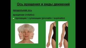 Ось вращения и виды движений. Продольная ось. Вращение пронация и супинация.