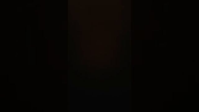 ЕСТЬ ЛИ ДУША У ЖИВОТНЫХ... ИНГА ХОСРОЕВА. смотреть онлайн