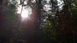 Бездонный океан SokolovBrothers (Соколовы) исп. Лина Счастливая / ПОТРЯСАЮЩАЯ ПЕСНЯ ИЗ ГЛУБИНЫ ДУШ