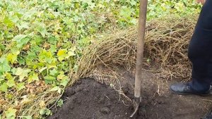 Плодородный грунт. Добыча. Тот самый сапропель