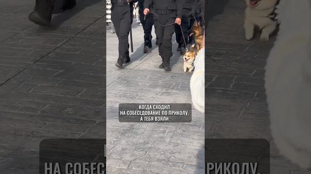 Ну бывает же такое #flyvi #flyvideo #графическийдизайн #работа смотреть онлайн