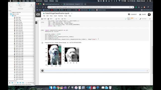 TensorFlow 2.0 - A Neural Network for any Image Dataset