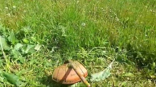 Бензокоса, газонокосилка!