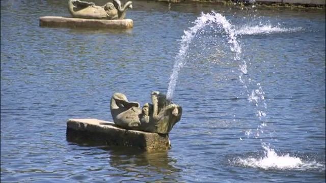 Фонтаны  Петергофа