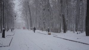 02.11.2017. Киров, Вятка, Александровский сад,снегопад