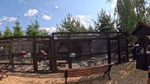 Рыбалка. Золотой Сазан. Рыболовный Клуб #рыбалка #золотойсазан