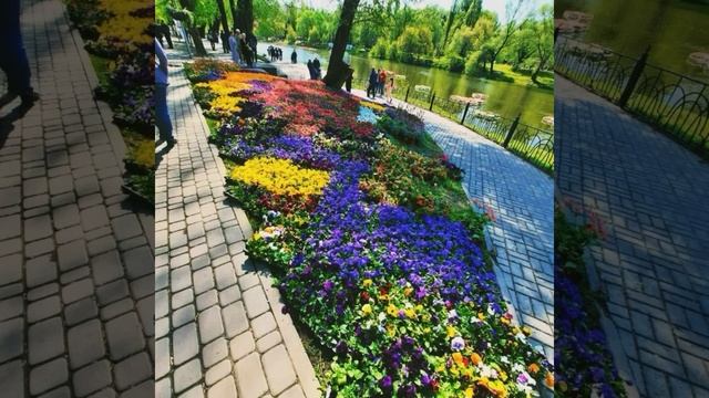 Video.Guru_20230619_122418343.mp4 смотреть онлайн