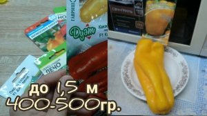 САМЫЕ УРОЖАЙНЫЕ КРУПНОПЛОДНЫЕ ПЕРЦЫ ДЛЯ ОТКРЫТОГО ГРУНТА. ОБЗОР СЕМЯН НА 2022 г.