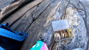 Рыбалка в Норвегии. Первая скумбрия в 2023! Выпуск 16