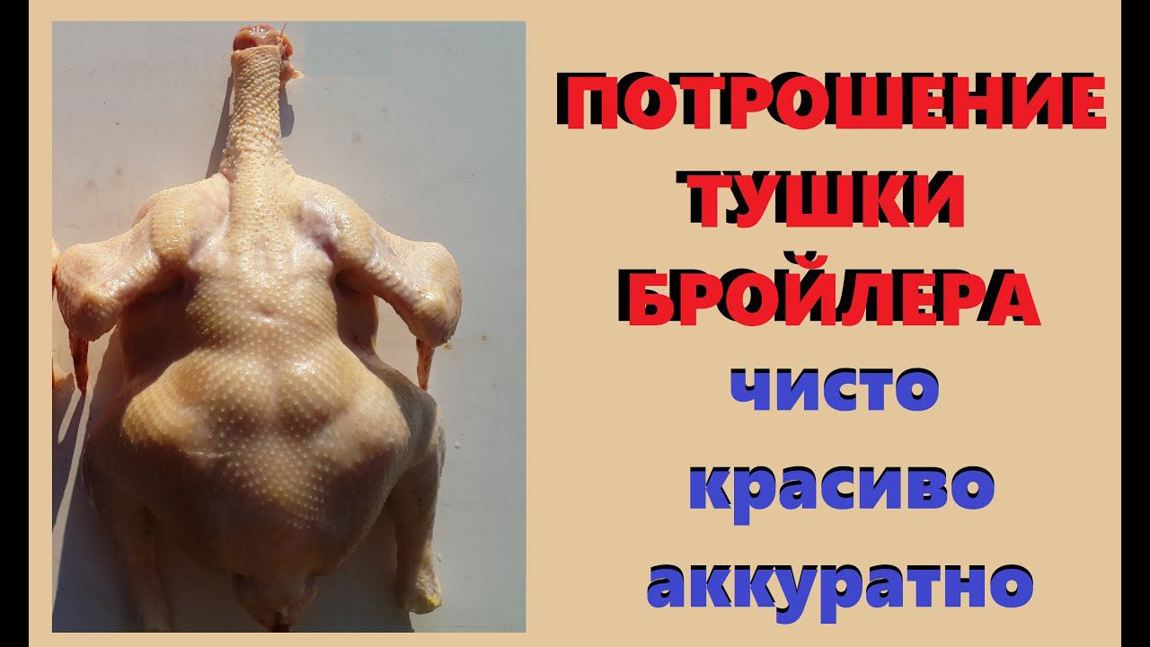 Потрошение бройлера. Приучаем ручки к правильному потрошению)) смотреть онлайн