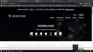 How to install Zerotier and join server