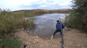 Дикий КЛЕВ толстолобика! Как поймать большую рыбу