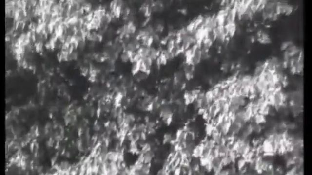 Методы содержания и разведения пчел ч. 1. Таранов Г.Ф. Сделано в СССР! смотреть онлайн