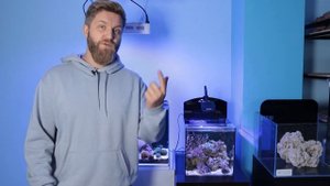 бюджетный морской наноаквариум.