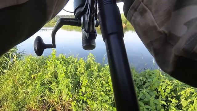 Сом на рассвете. Рыбалка в Беларуси на реке Свислочь. Fishing in Belarus. смотреть онлайн