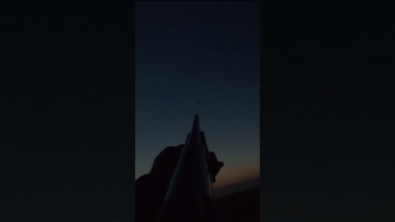 НАЛЕТЫ ХОТЬ СТВОЛОМ БЕЙ, ТЫСЯЧИ УТОК НА ПОЛЕ.#охотанауток  #охотанагуся