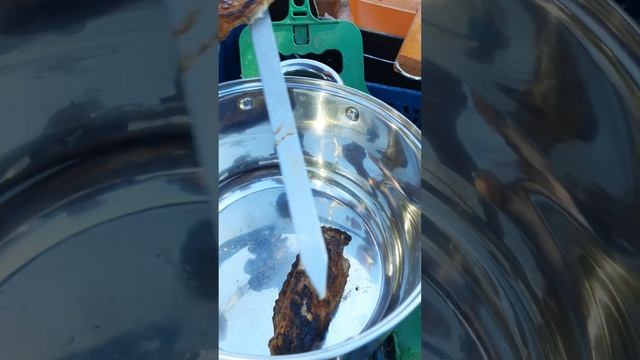 Шашлык на мангале и салат из овощей на мангале смотреть онлайн