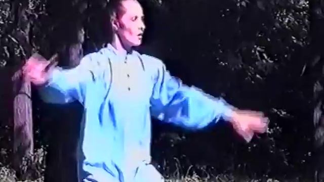 "ТАЙ ЦЗЫ" ЕЛЕНА смотреть онлайн