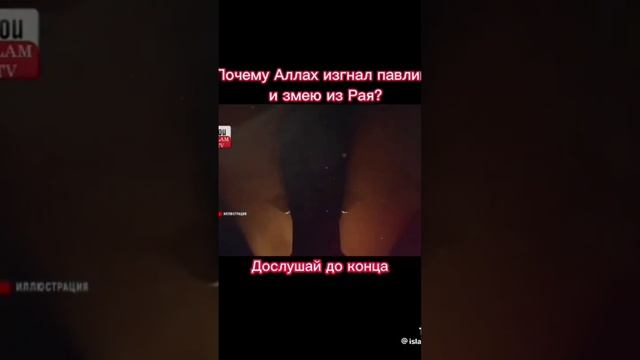 ответ на вопрос:почему Всевышний Аллах прогнал павлина и змею из рая? смотреть онлайн