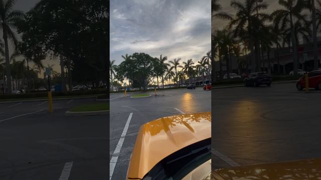 Вот кого можно встретить на парковке в Майами. #miami #miamibeach #флорида #сша #маями