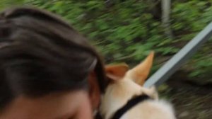 Дача пески в Балаково