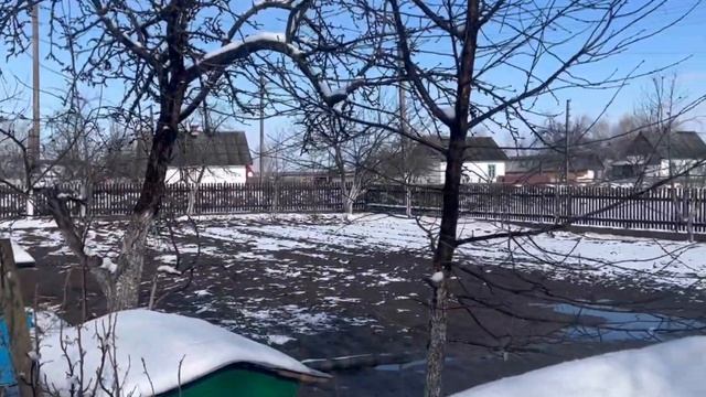 Пасіка 2023 смотреть онлайн