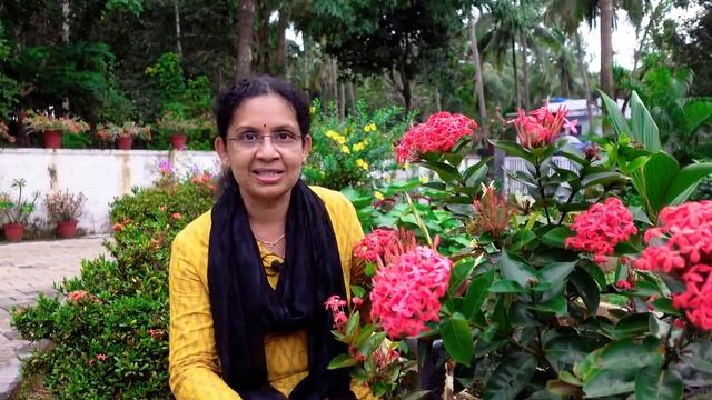 Melastoma, Tecoma, Ixora Care and Propagation смотреть онлайн