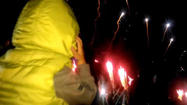 Открытие Новой Голландии. Салют. смотреть онлайн