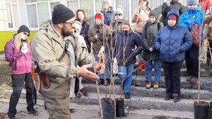 ОБРЕЗКА плодовых ДЕРЕВЬЕВ?МК Олега Рожнова?часть 1?
