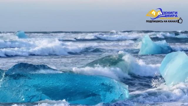 Как Перейти На Следующий Уровень Эволюции Человека?! l НИКОШО И Экхарт Толле