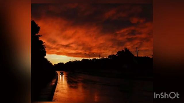 Кутателадзе Георгий «Безопасная дорога» смотреть онлайн