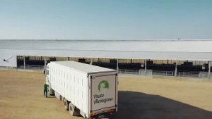 Импортное оборудование для овцеводства и козоводства. Проекты ферм для овец коз МРС | Проекты ферм