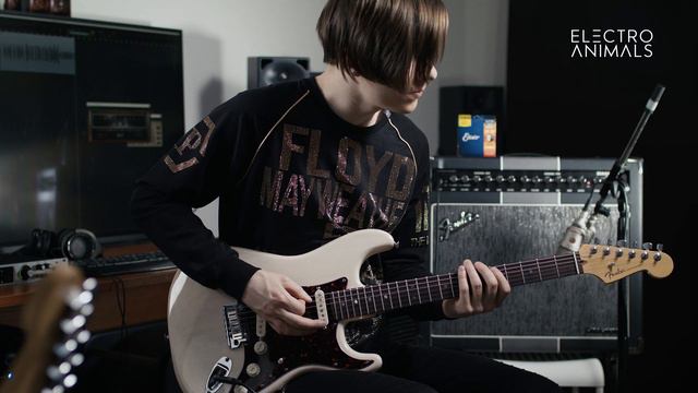 Electro Animals Strat Standard Wolf Pickup Set - Demo 1 смотреть онлайн