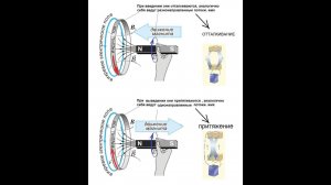 Направление Индукционного тока от положения магнита.