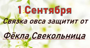 1 сентября народный праздник Фёклы Свекольницы. Что нельзя делать. Народные традиции и приметы