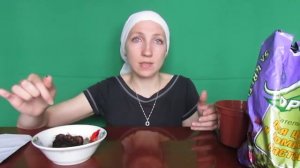 ?Бегония клубневая?: посадка, уход и размножение в горшке