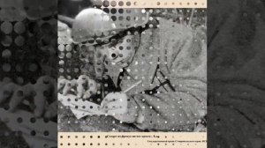 Мурад Аманназаров Письмо солдата