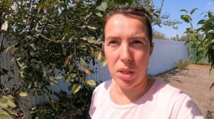 Огород опустел. Больше сажать не буду. Всё засохло. Жизнь на Юге России.