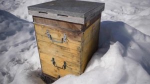 Безметёлочное содержание пчёл.
