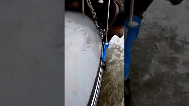 Путишествия по реке Чусовой.