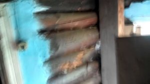 Заброшенный деревенский дом. Западная Украина