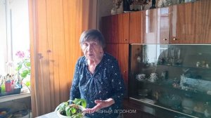 Земляника и клубника . В чем разница.
