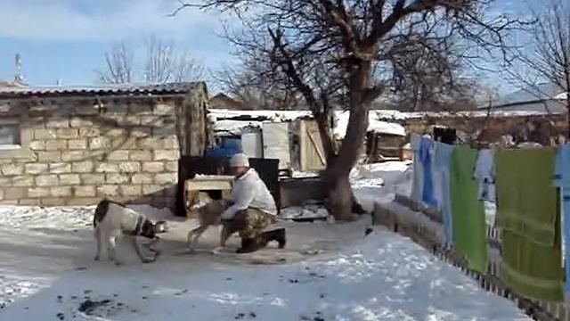 MOV01004 смотреть онлайн